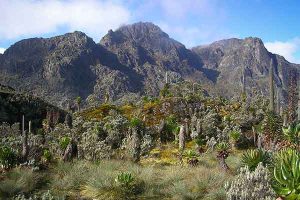 Rwenzori-Mountains Uganda