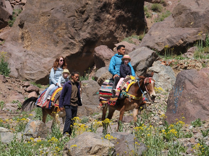 Tussen de akkers van de Atlas